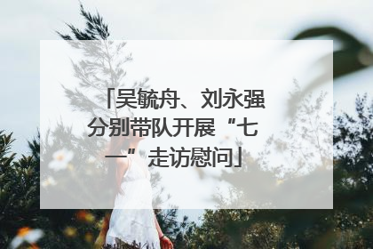 吴毓舟、刘永强分别带队开展“七一”走访慰问