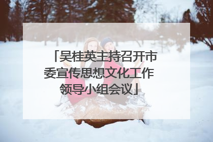 吴桂英主持召开市委宣传思想文化工作领导小组会议