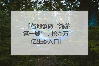 各地争做“鸿蒙第一城”，抢夺万亿生态入口