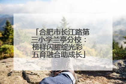 合肥市长江路第三小学兰亭分校：榜样闪耀绽光彩 五育融合助成长