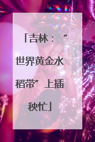 吉林：“世界黄金水稻带”上插秧忙