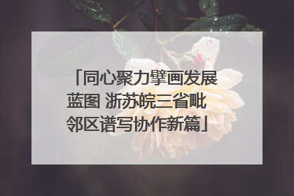 同心聚力擘画发展蓝图 浙苏皖三省毗邻区谱写协作新篇