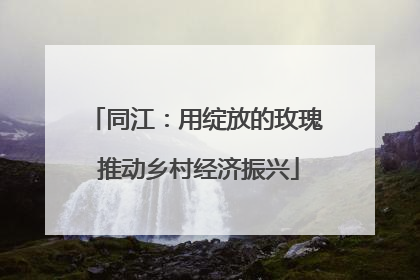 同江：用绽放的玫瑰 推动乡村经济振兴