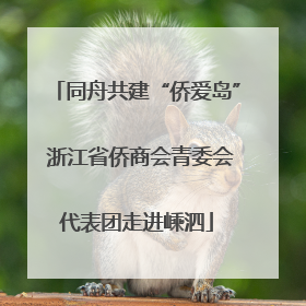 同舟共建“侨爱岛” 浙江省侨商会青委会代表团走进嵊泗