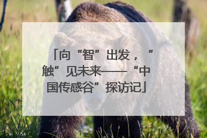 向“智”出发，“触”见未来——“中国传感谷”探访记