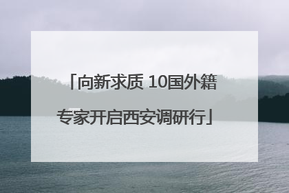 向新求质 10国外籍专家开启西安调研行