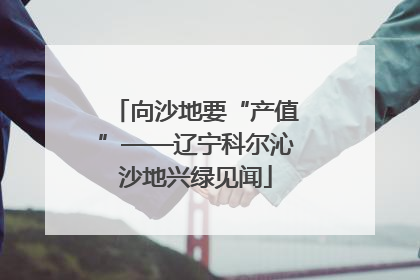 向沙地要“产值”——辽宁科尔沁沙地兴绿见闻
