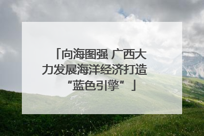 向海图强 广西大力发展海洋经济打造“蓝色引擎”