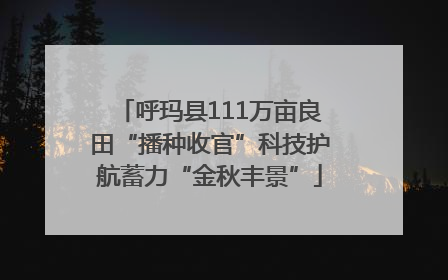 呼玛县111万亩良田“播种收官”科技护航蓄力“金秋丰景”