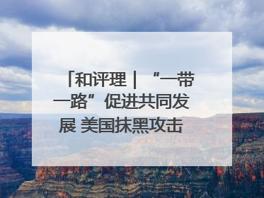 和评理｜“一带一路”促进共同发展 美国抹黑攻击酸味十足