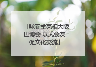 咏春拳亮相大阪世博会 以武会友促文化交流