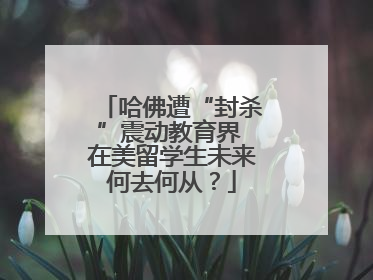 哈佛遭“封杀”震动教育界 在美留学生未来何去何从？