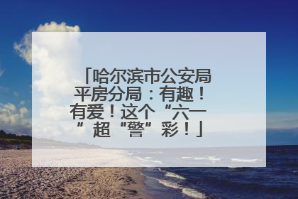 哈尔滨市公安局平房分局：有趣！有爱！这个“六一”超“警”彩！