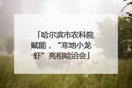 哈尔滨市农科院赋能，“寒地小龙虾”亮相哈洽会