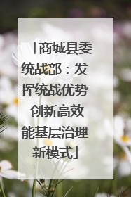 商城县委统战部：发挥统战优势 创新高效能基层治理新模式