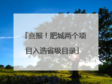喜报！肥城两个项目入选省级目录