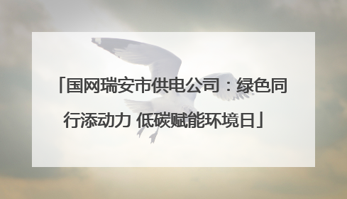 国网瑞安市供电公司：绿色同行添动力 低碳赋能环境日