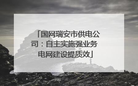 国网瑞安市供电公司：自主实施强业务 电网建设提质效