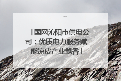 国网沁阳市供电公司：优质电力服务赋能凉皮产业飘香