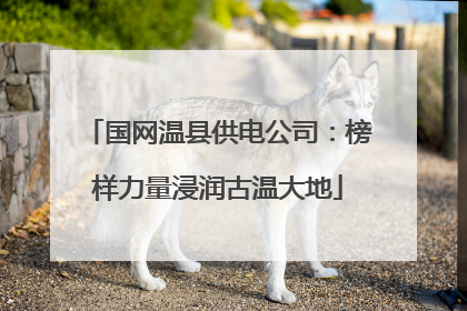 国网温县供电公司：榜样力量浸润古温大地