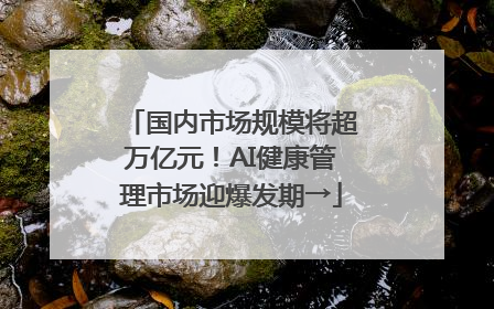 国内市场规模将超万亿元！AI健康管理市场迎爆发期→