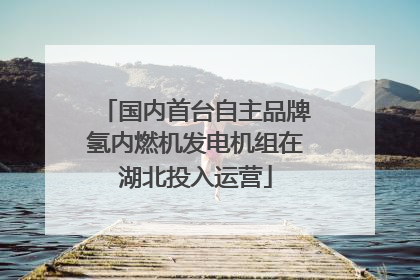 国内首台自主品牌氢内燃机发电机组在湖北投入运营