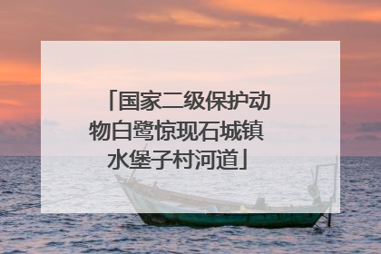 国家二级保护动物白鹭惊现石城镇水堡子村河道