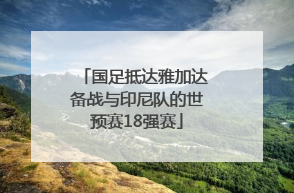 国足抵达雅加达备战与印尼队的世预赛18强赛