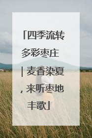 四季流转 多彩枣庄｜麦香染夏，来听枣地丰歌