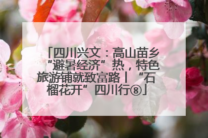 四川兴文：高山苗乡“避暑经济”热，特色旅游铺就致富路丨“石榴花开”四川行⑧