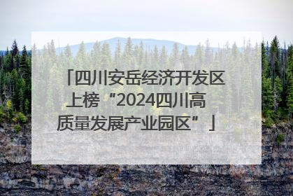 四川安岳经济开发区上榜“2024四川高质量发展产业园区”