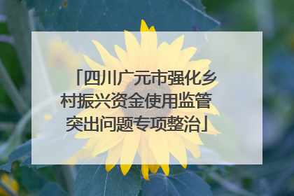 四川广元市强化乡村振兴资金使用监管突出问题专项整治