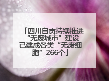 四川自贡持续推进“无废城市”建设 已建成各类“无废细胞”266个