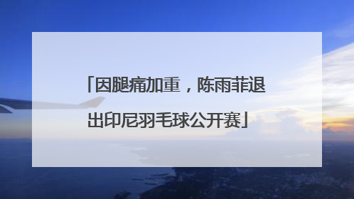 因腿痛加重，陈雨菲退出印尼羽毛球公开赛