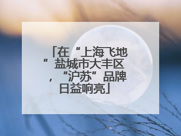 在“上海飞地”盐城市大丰区，“沪苏”品牌日益响亮