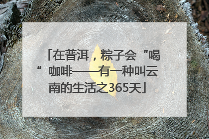 在普洱，粽子会“喝”咖啡——有一种叫云南的生活之365天
