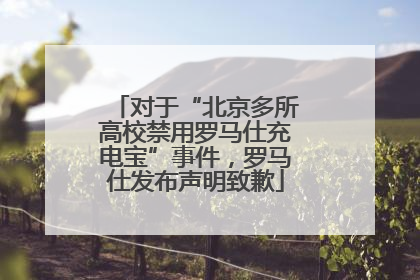 对于“北京多所高校禁用罗马仕充电宝”事件，罗马仕发布声明致歉
