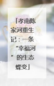 孝南陈家河重生记：一条“幸福河”的生态蝶变