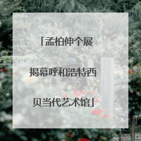 孟柏伸个展 揭幕呼和浩特西贝当代艺术馆