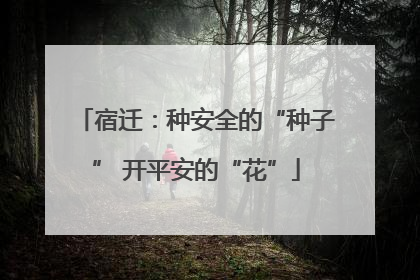 宿迁：种安全的“种子” 开平安的“花”