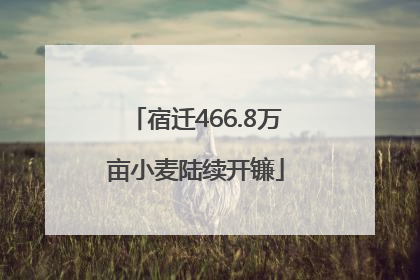 宿迁466.8万亩小麦陆续开镰