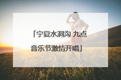 宁夏水洞沟 九点音乐节激情开唱