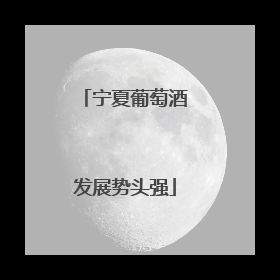 宁夏葡萄酒发展势头强