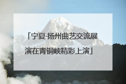宁夏·扬州曲艺交流展演在青铜峡精彩上演