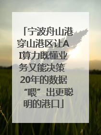 宁波舟山港穿山港区让AI算力既懂业务又能决策 20年的数据“喂”出更聪明的港口