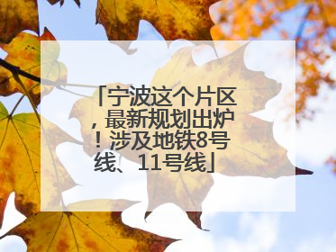 宁波这个片区，最新规划出炉！涉及地铁8号线、11号线