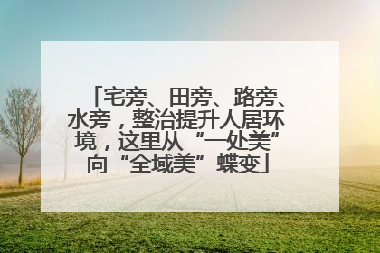 宅旁、田旁、路旁、水旁，整治提升人居环境，这里从“一处美”向“全域美”蝶变