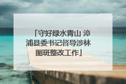 守好绿水青山 漳浦县委书记督导涉林图斑整改工作