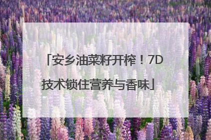 安乡油菜籽开榨！7D技术锁住营养与香味