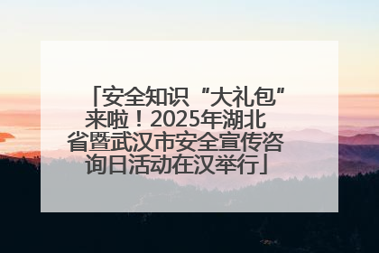 安全知识“大礼包”来啦！2025年湖北省暨武汉市安全宣传咨询日活动在汉举行